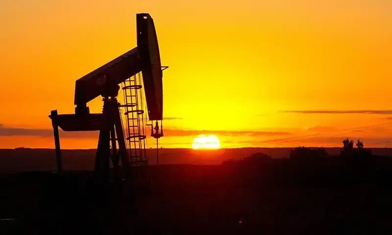 Oil industry prompts government to discourage hoarding as petrol stocks decline to 14-day cover